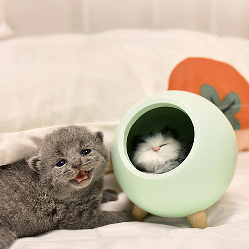 Ночник "Котенок" (зеленый)