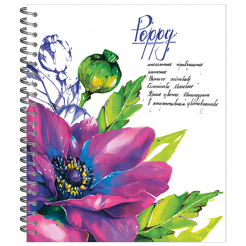 Тетрадь общая 48л на гребне, "Ботаника" мак