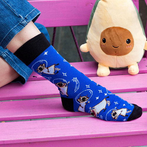 Носки "Еноты-астронавты", разм.40-45