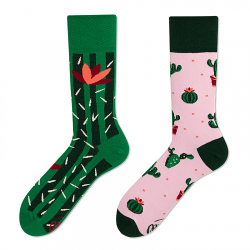 Носки "Кактусы"