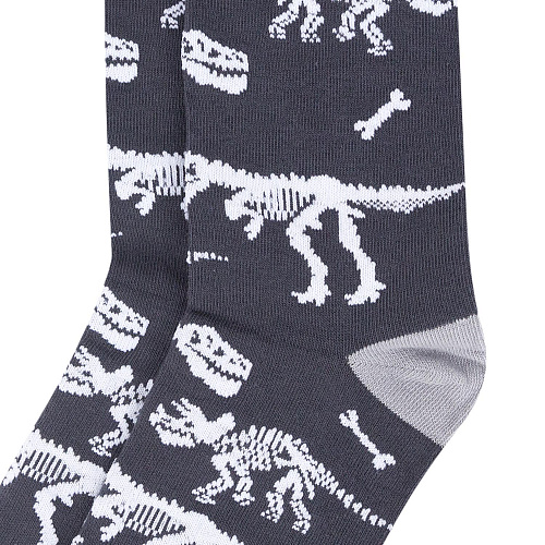 Носки "Динозавры", разм.40-45