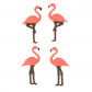 Набор ластиков "Фламинго" (красные)