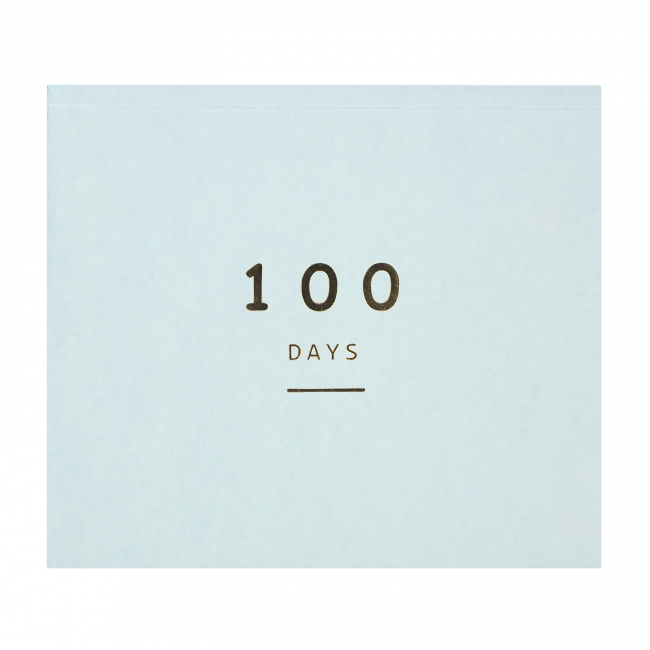 Планнер "100 days" (серый)