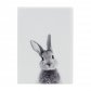Обложка на автодокументы "Кролик"
