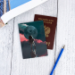 Обложка для паспорта "Космонавт"