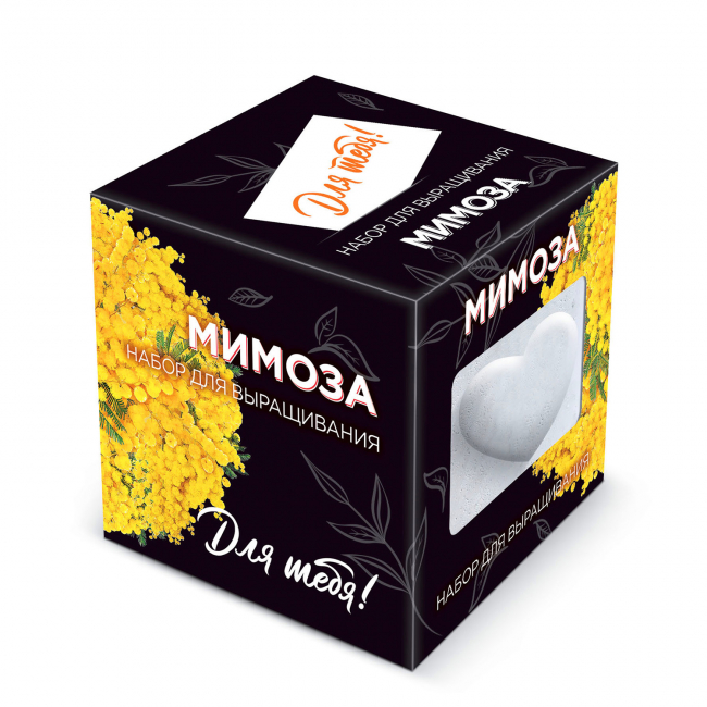 Подарочный набор для выращивания "Для тебя! Мимоза" в дизайнерском кубике ручной работы
