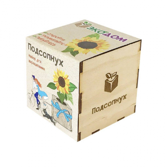 Подарочный набор для выращивания в кубике ЭкоДом "Подсолнух"