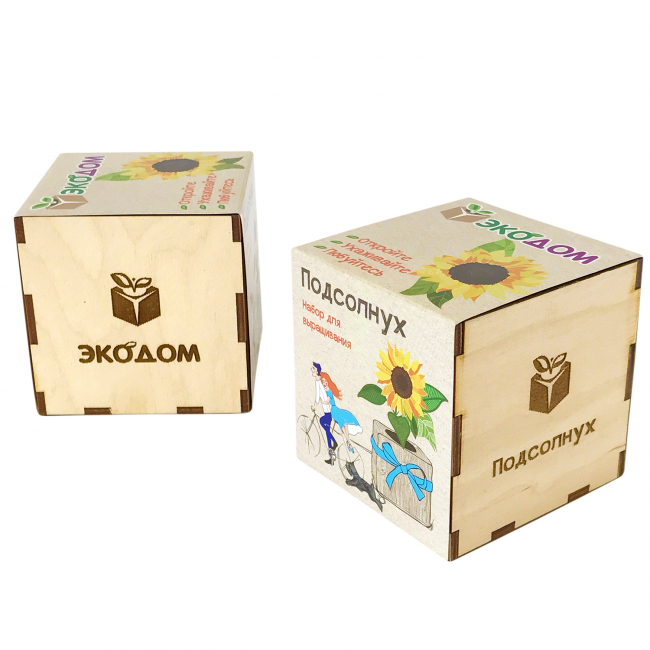 Подарочный набор для выращивания в кубике ЭкоДом "Подсолнух"