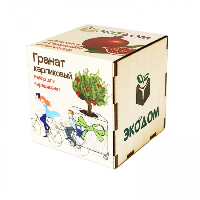 Подарочный набор для выращивания в кубике "Гранат карликовый"