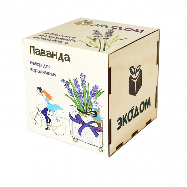 Подарочный набор для выращивания в кубике "Лаванда"