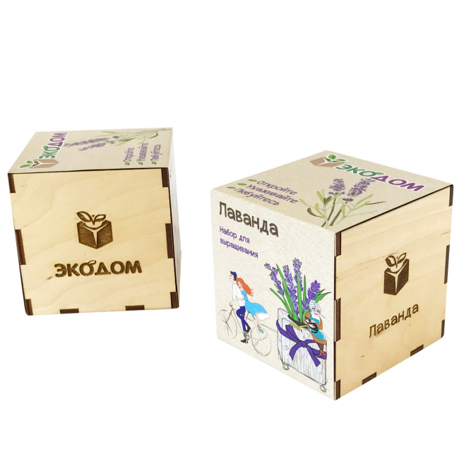Подарочный набор для выращивания в кубике "Лаванда"