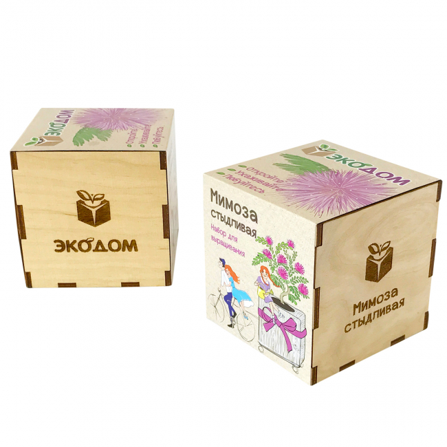 Подарочный набор для выращивания в кубике "Мимоза стыдливая"