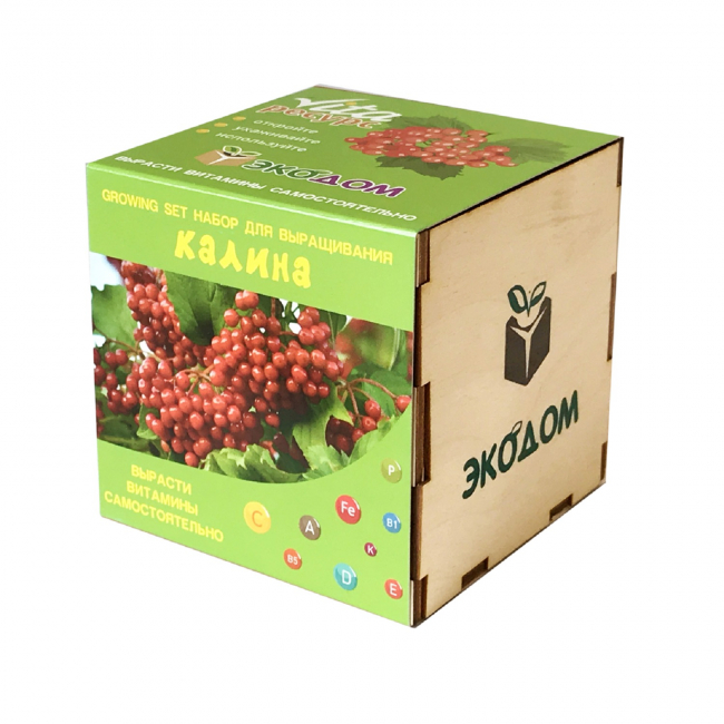 Подарочный набор для выращивания в кубике Vita Ресурс "Калина"