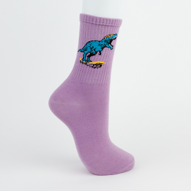 Носки "Динозавр на скейте", разм.40-45