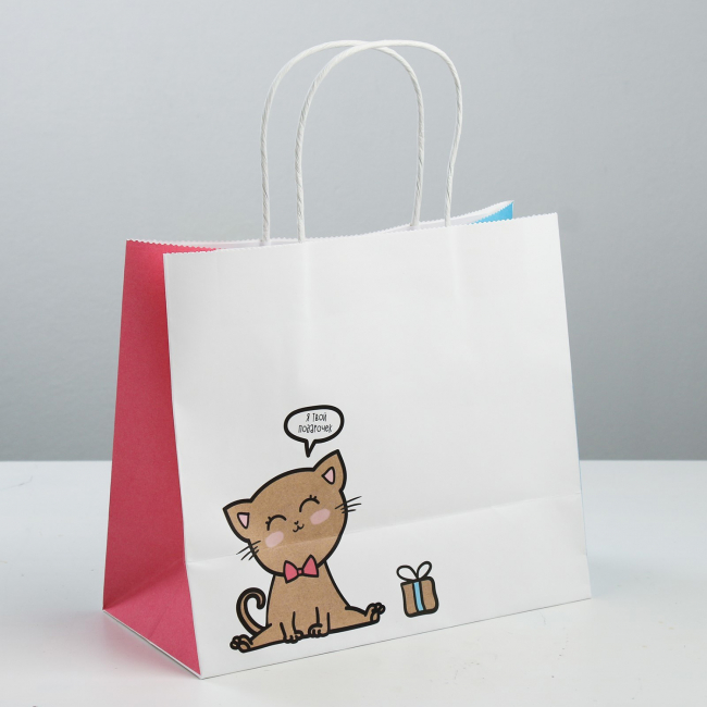 Пакет подарочный крафтовый «Котик», 25 × 22 × 12 см