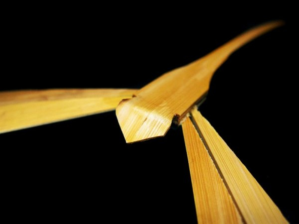 Стрекоза бамбуковая (малая)