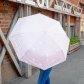 Зонт складной "Альпаки" (розовый)