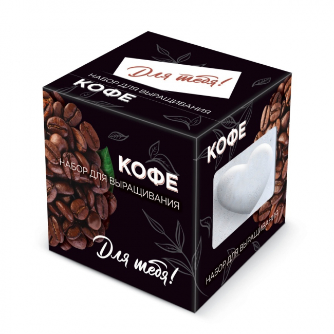 Bagira Подарочный набор для выращивания "Для тебя! Кофе" в дизайнерском кубике ручной работы