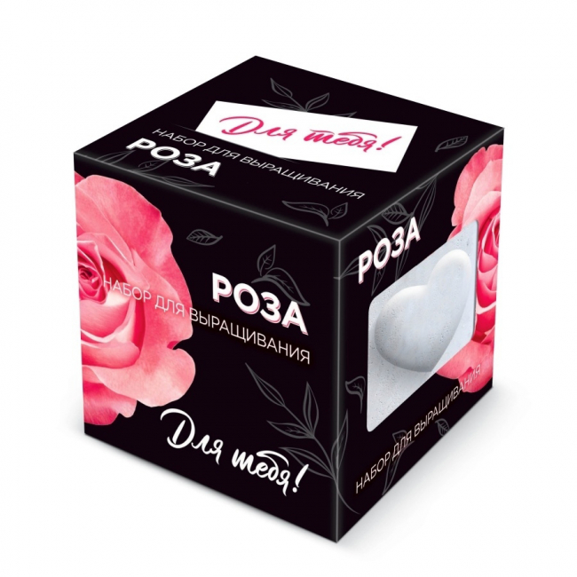 Bagira Подарочный набор для выращивания "Для тебя! Роза" в дизайнерском кубике ручной работы