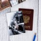 Обложка для паспорта "Лама в такси"