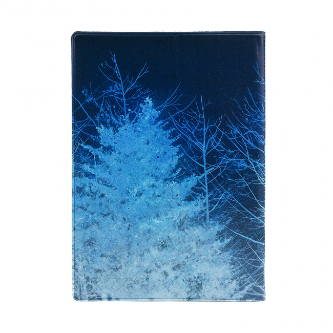 Обложка для паспорта "Winter night"