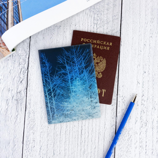 Обложка для паспорта "Winter night"